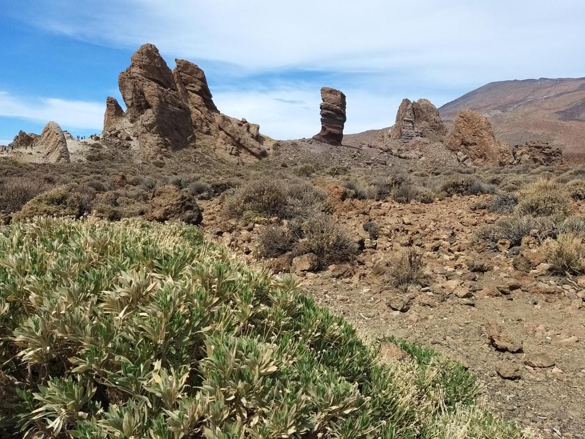 Tenerife Playa La Arena Puerto de Santiago  Eksteriør billede