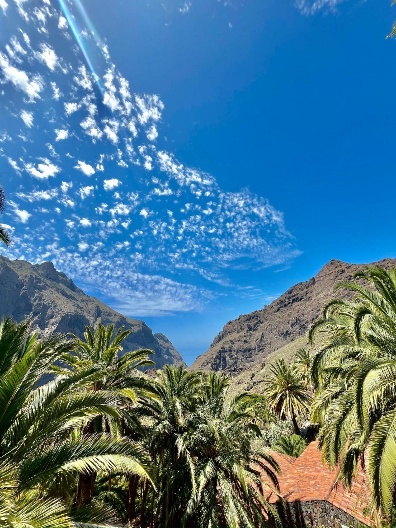 Tenerife Playa La Arena Puerto de Santiago  Eksteriør billede